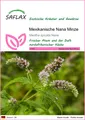 Produktbild: SAFLAX - Samen - Mexikanische Nana Minze - 500 Samen