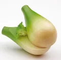 Produktbild: Erzi Fenchelknolle