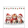 Produktbild: 3 Servietten-Napkin -Funny cute kittens