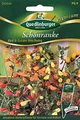 Produktbild: Schönranke, Red & Cream Mischung, Eccremocarpus scaber, ca. 50 Samen
