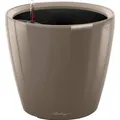 Produktbild: Lechuza® Pflanzgefäß Classico Premium LS Ø 28 cm x 26 cm Taupe hochglanz