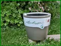 Produktbild: Pflanzgefäß Lechuza CLASSICO PREMIUM 28 LS taube wechselbarer Pflanzeinsatz
