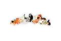 Produktbild: BULLYLAND Spielfigur Bauernhof 13 Tiere, mit vielen Tieren zum sammeln