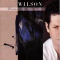 Produktbild: BRIAN WILSON - BRIAN WILSON CD POP ROCK 11 TRACKS NEU