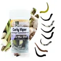 Produktbild: Zite Fishing Curly Viper Gummiköder Forelle 8 STK - Schlangenartiger Gummi Forellenköder 6,5cm – UL Angelköder Forelle Rotierend & Schlängelnd – Phthalatfrei & Handgefertigt (Natur Mix Knoblauch)