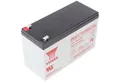 Produktbild: Yuasa Yuasa NPW45-12 Blei PB Akku 12 Volt, 8500mAh mit Faston 6,3 mm Kontak Akku 8500 mAh (12,0 V)