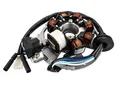 Produktbild: Stator - Lichtmaschine 7 Spulen Minarelli Motor liegend