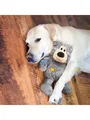 Produktbild: KONG Hundespielzeug Wild Knots Bear Verschiedene Farben S/M 17cm 340491