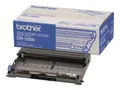 Produktbild: Brother DR2000 - Original - Trommeleinheit - für Brother DCP-7010, 7025, HL-2030, 2040, 2070, MFC-7225, 7420, 7820