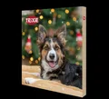 Produktbild: Trixie Adventskalender für HUNDE 30 x34 x 3,5 cm Snack Leckerli Weihnachten Xmas