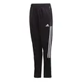 Produktbild: adidas Herren Tiro21 Anzughose, Schwarz, S EU