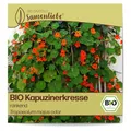 Produktbild: Samenliebe BIO Kapuzinerkresse Samen alte Sorte rankend 10 Samen samenfestes Blumen Saatgut für Garten Freiland und Balkon BIO Blumensamen