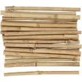 Produktbild: Bambusstock