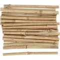 Produktbild: Bambusstock
