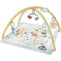 Produktbild: Fisher-Price Simply Senses Sensorische Erlebnisdecke, Spielbogen/Decke