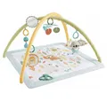 Produktbild: Fisher-Price® Spiel Simply Senses Newborn Gym (Sensimals '24), Spielbogen/Decke