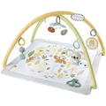 Produktbild: Fisher-Price Fisher-Price Simply Senses Sensorische Erlebnisdecke