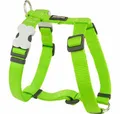 Produktbild: Red Dingo Hunde-Geschirr Hundegeschirr weich 37-61 cm Neongrün