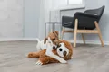 Produktbild: Trixie Faultier Plüsch Polyester mit Stimme Hund Dog Spielzeug Relax Spaß 56 cm