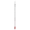 Produktbild: Thermometer 10-100° C 20 cm lang 1 St