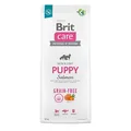 Produktbild: Brit Care Dog GrainFree Puppy Lachs 3 kg