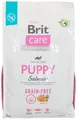 Produktbild: Brit Dry food for puppies and young dogs of all breeds (4 weeks - 12 months) Care Dog Grain-Free Puppy Salmon 3kg