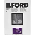 Produktbild: 1x 25 Ilford MG RC DL 44M 18x24