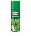 Produktbild: Substral Blattglanz Spray, beseitigs Kalkränder und Staubbeläge, 200 ml - wirkt staubabweisend, für alle Grünpflanzen
