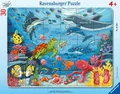 Produktbild: Ravensburger Puzzle Ravensburger Kinderpuzzle - Unten im Meer - 30-48 Teile..., 48 Puzzleteile