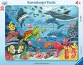 Produktbild: Ravensburger 05566 Unten im Meer Rahmenpuzzle 4+ Jahre 30 Teile