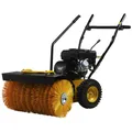 Produktbild: TEXAS Kehrmaschine 