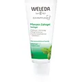 Produktbild: Weleda Dental Care Pflanzliches Zahngel 75 ml