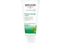 Produktbild: Weleda Pflanzen Zahngel (106,53 EUR/l)
