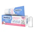 Produktbild: DENTINOX Zahncreme Mundflora Baby 30 ml