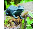 Produktbild: Heissner Teichfigur Heissner Teichfigur mit Speierfunktion Frosch 14 x