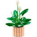 Produktbild: LEGO Botanicals Friedenslilie 11504