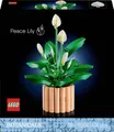 Produktbild: LEGO ICONS 11504 Botanicals 11504 Friedenslilie