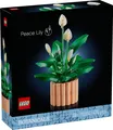 Produktbild: LEGO® Botanicals 11504 Friedenslilie Deko Planzen, Blume