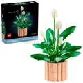 Produktbild: LEGO 11504 Botanicals - Spatifillo