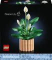 Produktbild: LEGO 11504 Botanicals Spatifillo