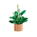Produktbild: LEGO Botanicals Peace Lily 474 Teile NEU OVP