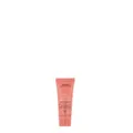Produktbild: Aveda Nutriplenish Masque Light Moisture 25ml