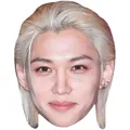 Produktbild: Felix Lee (Blonde Hair) Maske aus Karton