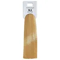 Produktbild: Alcina Color Gloss + Care Emulsion 9.3 Lichtblond-Gold 100 ml