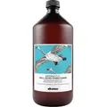 Produktbild: Davines Naturaltech Well-Being Conditioner 1000 ml