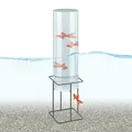 Produktbild: Relaxdays Fischsäule, Transparent, Kunststoff, Metall, 22x87x22 cm, Gartenzubehör, Gartendeko