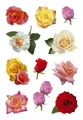 Produktbild: HERMA Etikett Herma 3308 3308 Sticker DECOR Rosenblüten