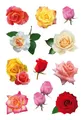 Produktbild: HERMA 3308 10x Sticker DECOR Rosenblüten