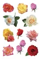 Produktbild: HERMA Sticker DECOR 