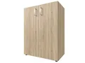 Produktbild: möbelando Aktenschrank Trio 2 57 x 77 x 34,5 cm (B/H/T)